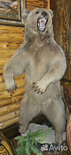 Чучело медведя имитация