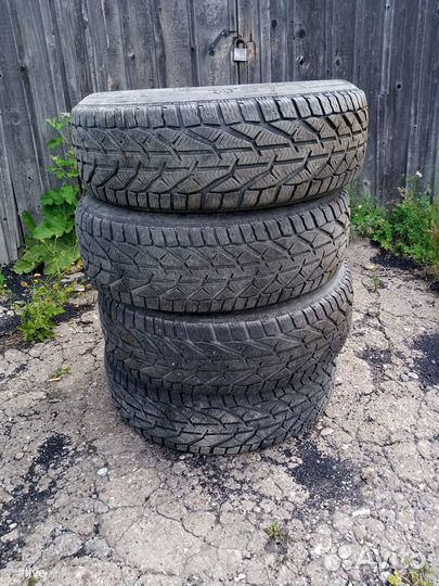 Tigar Winter 215/60 R17 96H