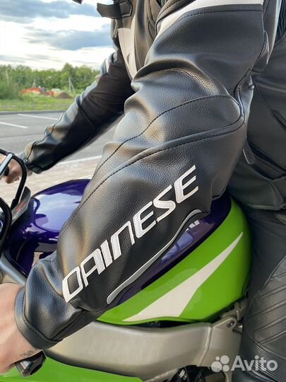 Кожаная мотокуртка Dainese Avro 4