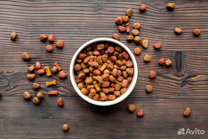 Корм для собак мелких пород