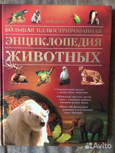 Энциклопедия для детей