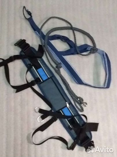 Шлейки ездовые