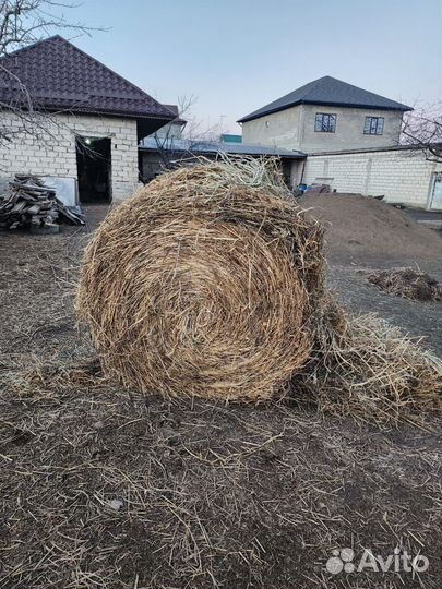 Сено в рулонах