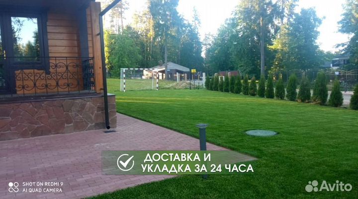 Рулонный газон под ключ