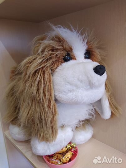 Игрушка собака барабака