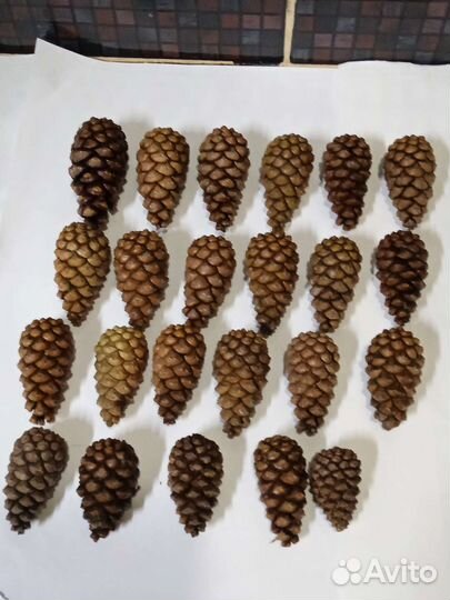 Шишки для изготовления новогодних венков