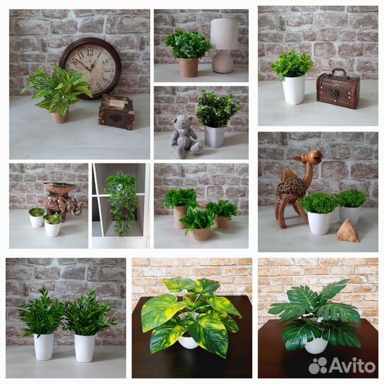 Декоративное дерево