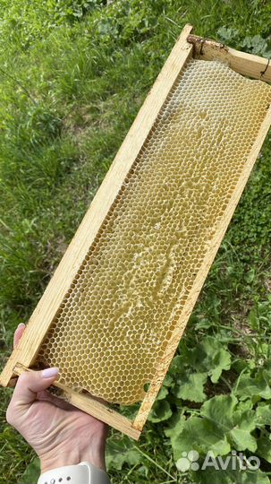 Сушь магазинная