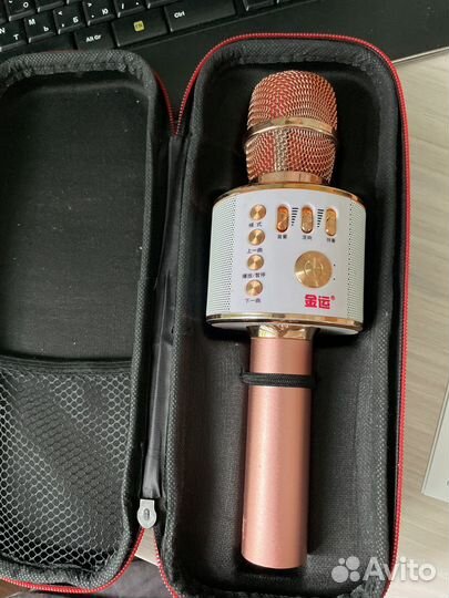 Микрофон с колонкой