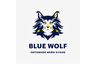 Питомник мейн-кунов Blue Wolf