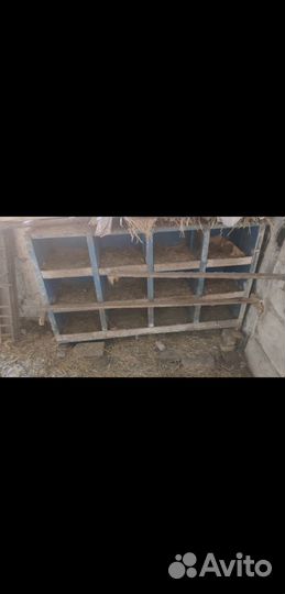 Гнездо для кур