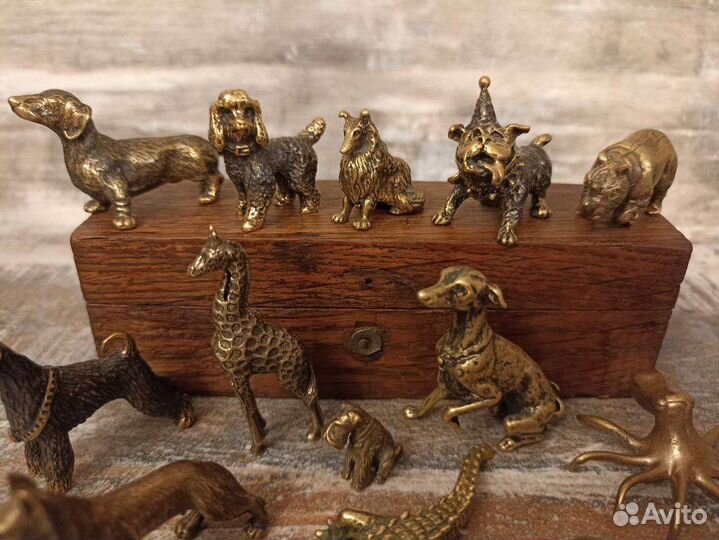 Миниатюры собак и других животных