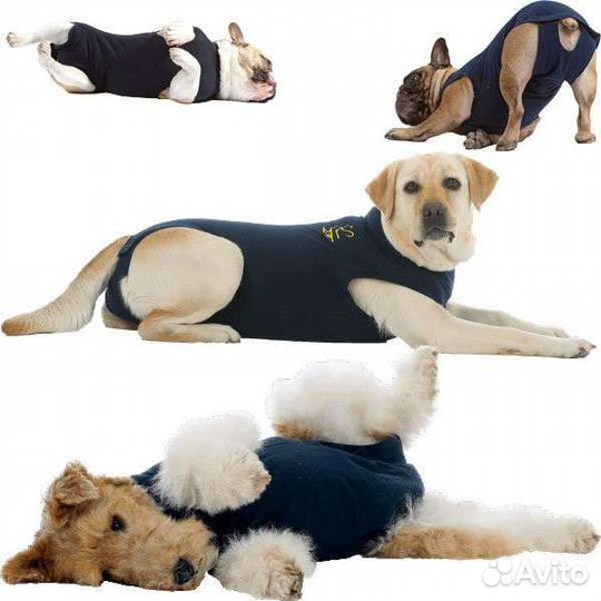 Кастрация кота/ кошки