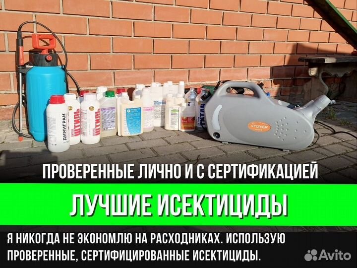 Дезинфекция