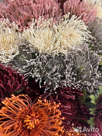 Протея искусственная