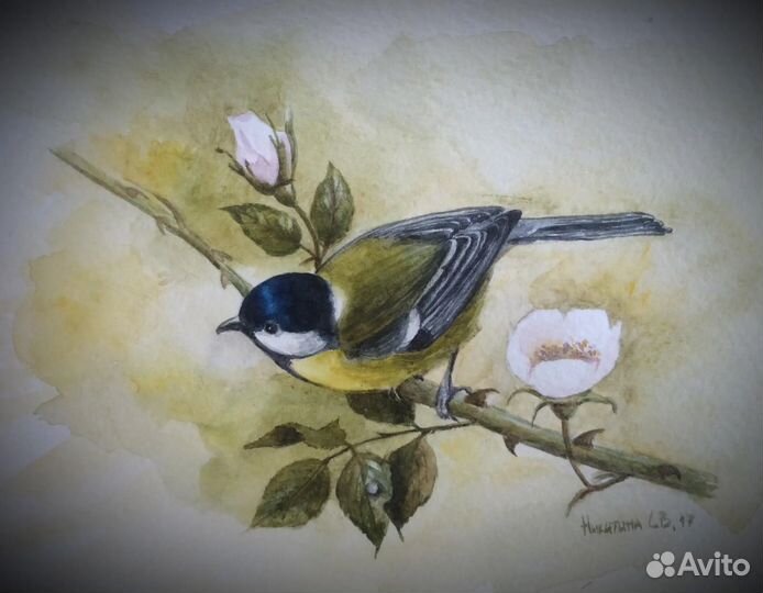 Птички акварелью
