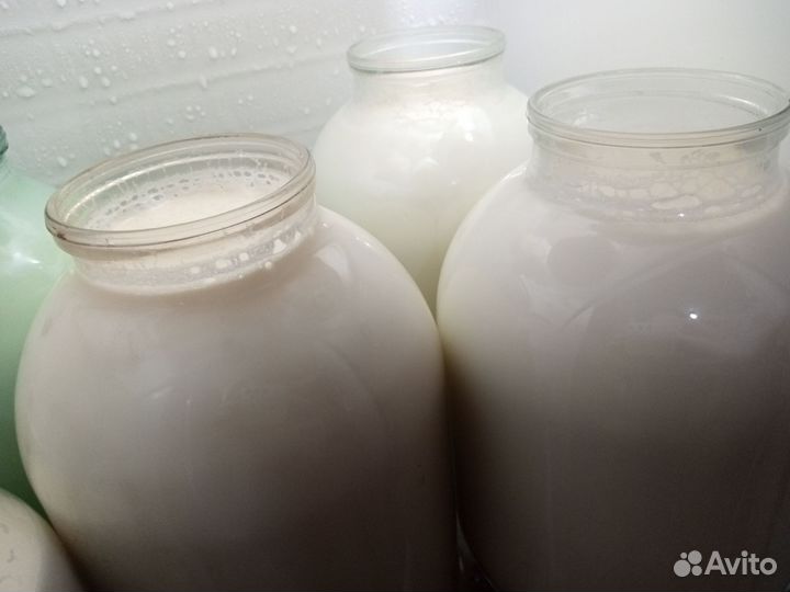 Домашнее молоко, творог, сыр, яйца, масло и др