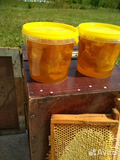 Мёд в сотах и в рамках 2023 г