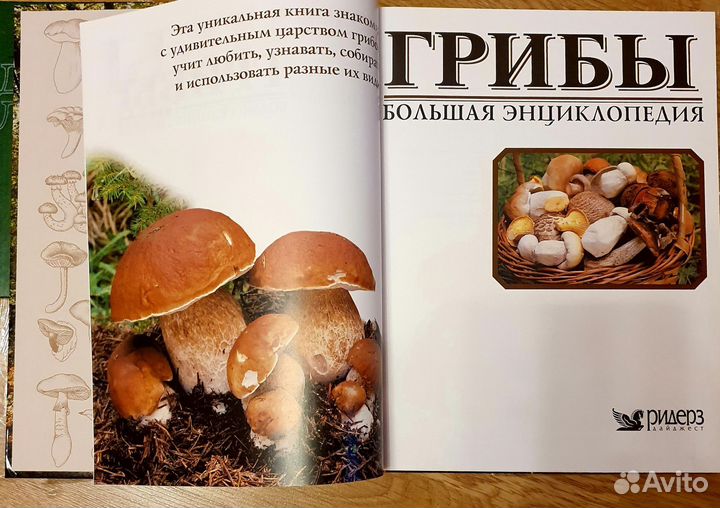 Книги о грибах. Ягоды