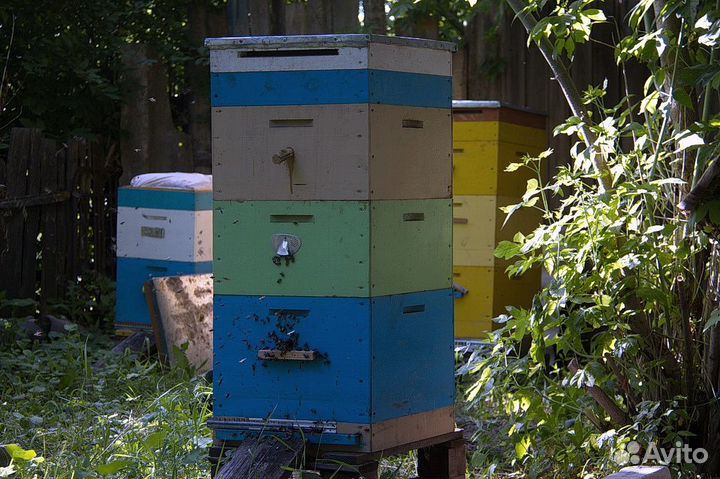 Ульи для пчел бу