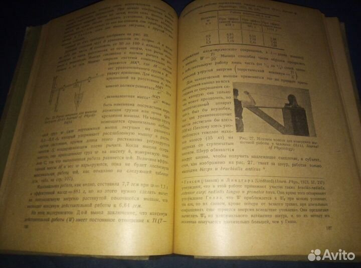 Ч. Ловатт Эванс -Современные успехи физиологии