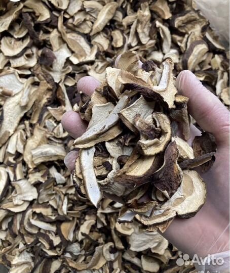 Белый гриб сушенный
