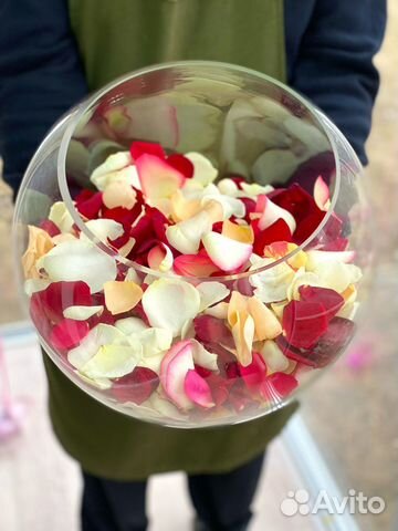 Свежие Лепестки Роз