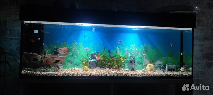 Аквариум