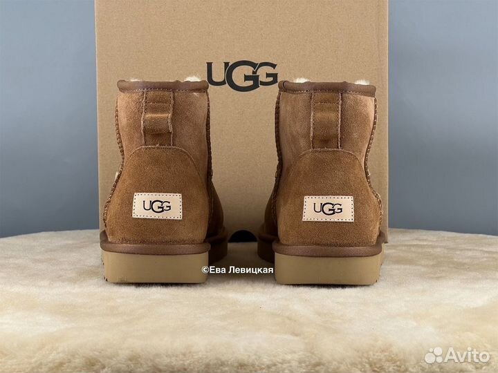 Угги мужские Ugg Mens Classic Mini II Chestnut