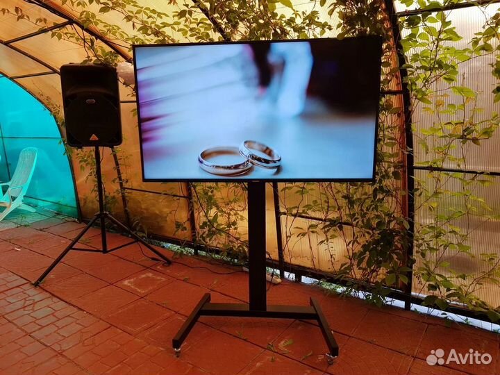 Аренда телевизоров и плазм