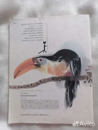 Рудо Мориц. Медвежонок родился