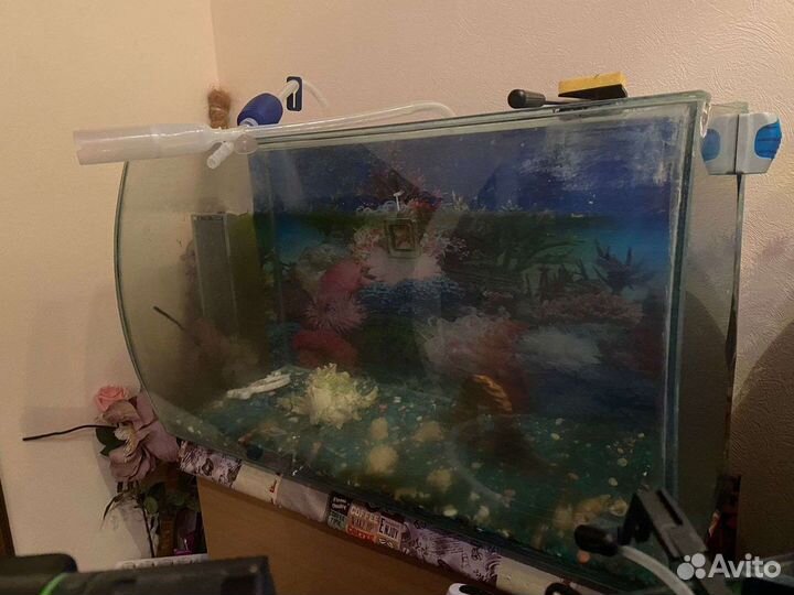 Аквариум