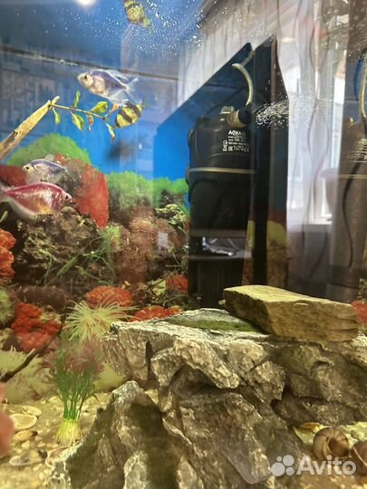 Аквариум