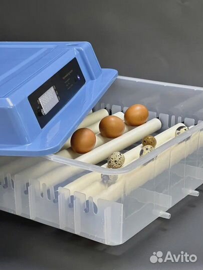 Инкубатор для яиц автоматический, новый. Ряба