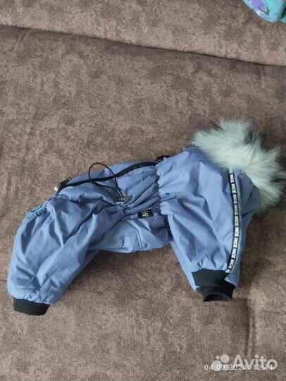 Одежда для маленьких собак