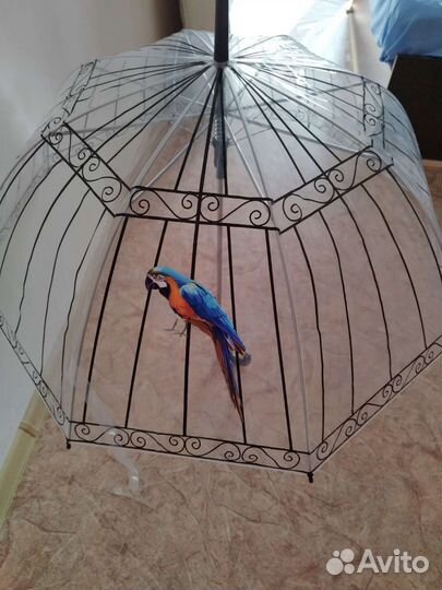 Зонт трость прозрачный купол 1 шт