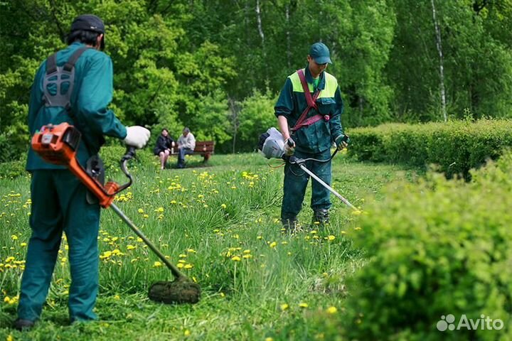 Покос травы