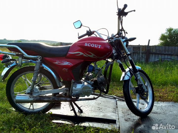 Альфа скаут