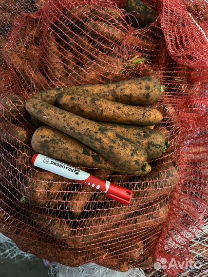 Яблоки оптом