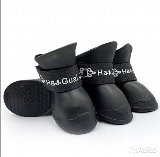 Одежда и обувь для собак