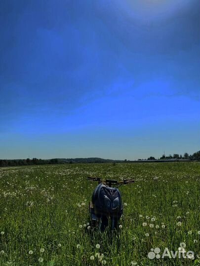 Скутер stels tactic