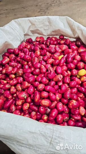 Картофель второй сорт