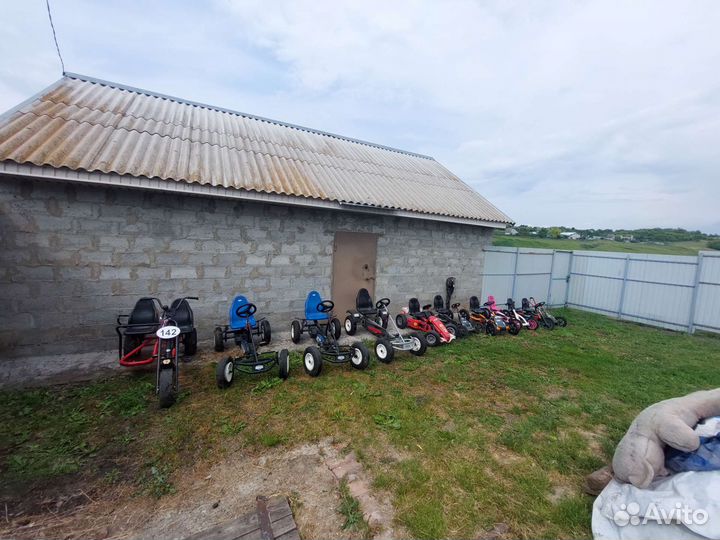 Веломобили berg