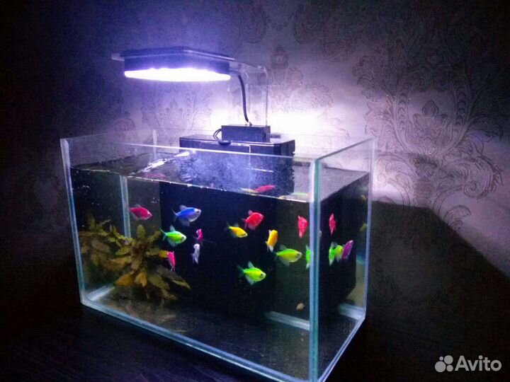 Фильтр Барбус комплекс био