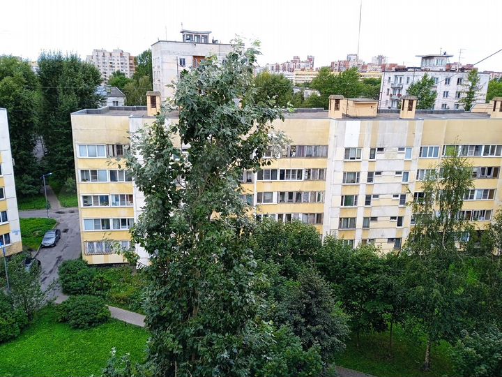 2-к. квартира, 54,7 м², 8/8 эт.