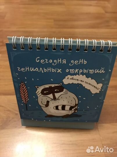 Набор статусов для рабочего стола Енот