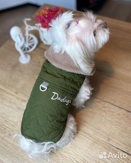 Жилеты для собак (разные)