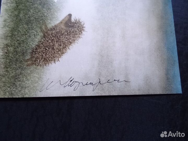 Постер Ёжик и Собака Ю. Норштейн оригинал подписан