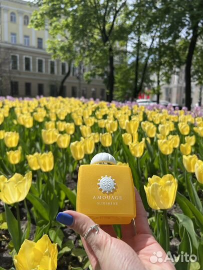Парфюм Amouage Sunshine