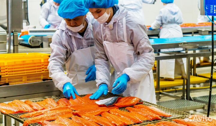 Вахта 30/30 Москва укладчик-упаковщик